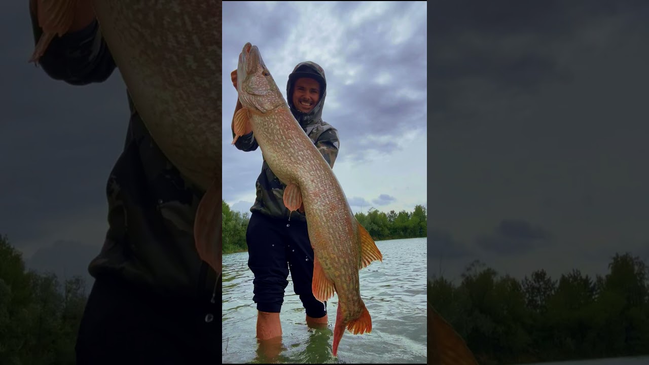 Sommer 2025 Sportfischereiverein Baden