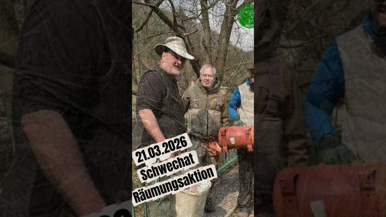 Schwechat Revier Reinigung