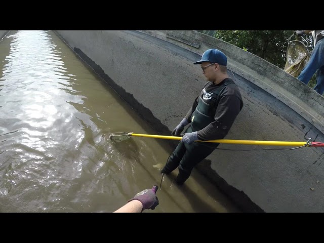 2018 - Wr Neustädter Kanal