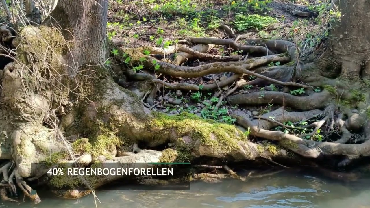 2023 - Arbeitseinsatz Triesting